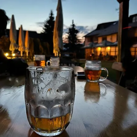 Hotel Stary Mlyn *
