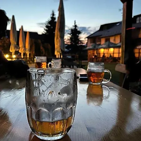 Stary Mlyn Hotel Jeseník