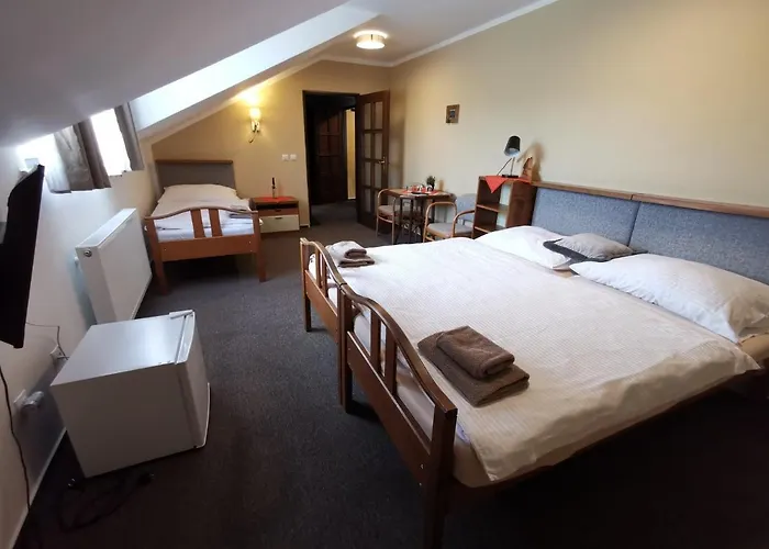 Hotel Stary Mlyn *
