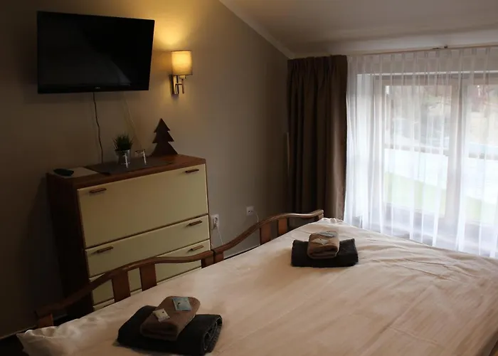 Stary Mlyn Hotel Jeseník