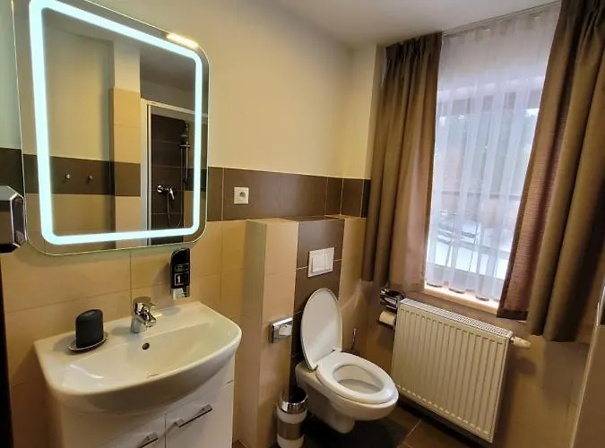Starý Mlýn Hotel Jeseník