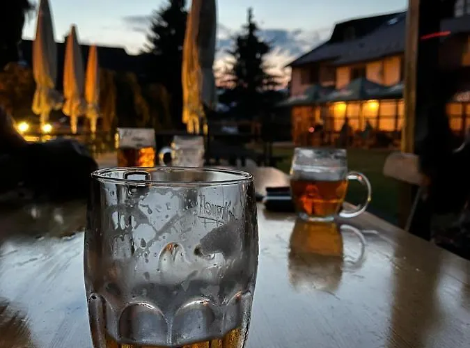 Hotel Stary Mlyn *