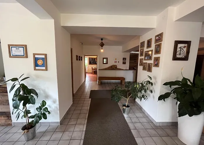 Starý Mlýn Hotel Jeseník